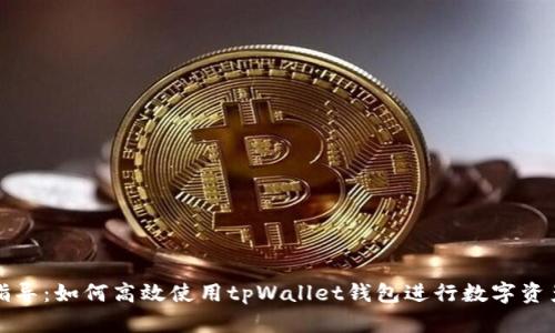 全面指导：如何高效使用tpWallet钱包进行数字资产管理