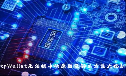 tpWallet无法提币的原因及解决方法大揭秘