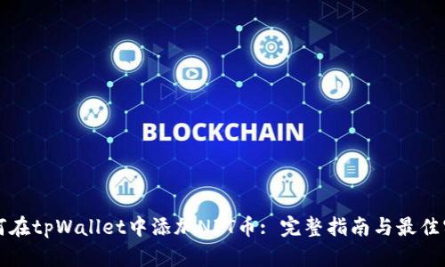 如何在tpWallet中添加NFT币: 完整指南与最佳实践