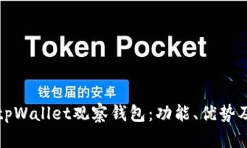 全面解析tpWallet观察钱包：功能、优势及使用指南