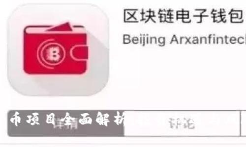 加密数字货币项目全面解析：投资机遇与风险的双面鉴