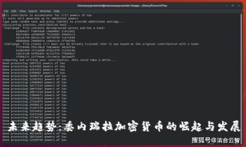 未来趋势：委内瑞拉加密货币的崛起与发展