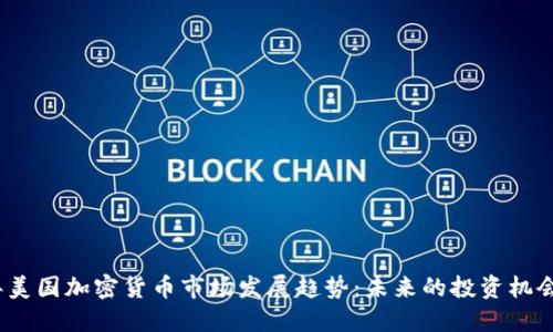 2024年美国加密货币市场发展趋势：未来的投资机会与挑战
