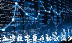 未来发展趋势：加密数字货币协议漏洞的治理与