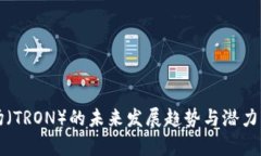 波场（TRON）的未来发展趋势与潜力分析