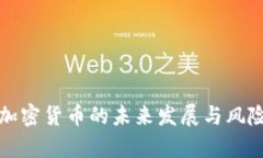 央行加密货币的未来发展与风险分析