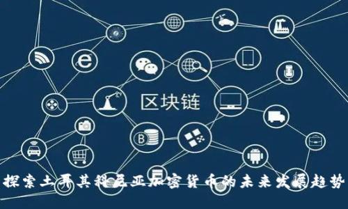 探索土耳其科尼亚加密货币的未来发展趋势