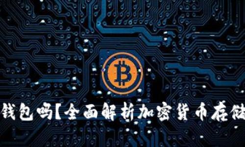 加密货币需要放入钱包吗？全面解析加密货币存储的必要性与安全性