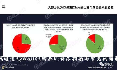 如何通过tpWallet购买U：详尽指南与常见问题解答