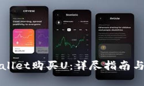 如何通过tpWallet购买U：详尽指南与常见问题解答