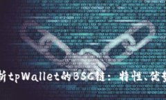全面解析tpWallet的BSC链: 特