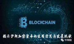 揭示伊朗加密货币的使用