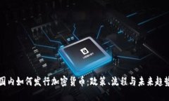 国内如何发行加密货币：